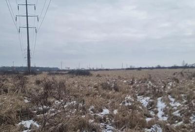 Teren de 60000 mp, în Central - 11