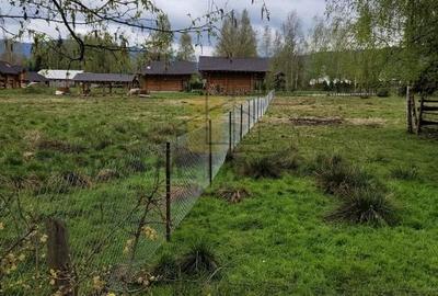 Teren Saru Dornei / Neagra Sarului - oportunitate investitie - 3