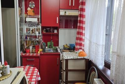 Garsoniera, situata pe malul Somesului, cartierul Grigorescu - 5