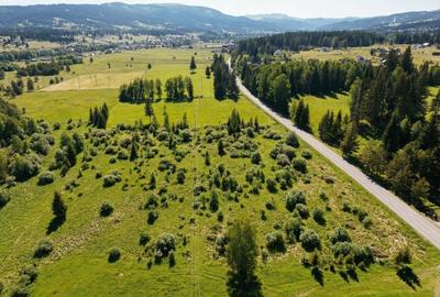 Teren Construcții intravilan de 12743 mp, în Șaru Dornei - 21