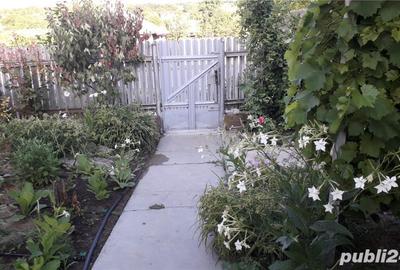 Casă cu 4 camere cu Teren 5000 Mp în Valea Mărului - 7