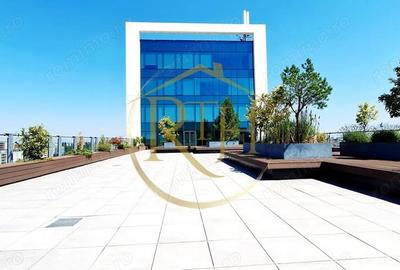 Spațiu comercial, de 20 mp, în Torontalului - 19