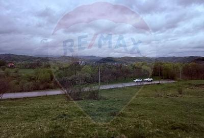 Teren Construcții de 4780 mp, în Vadu Izei - 1