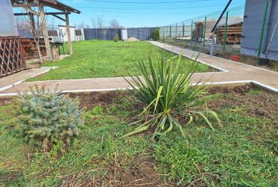 Spațiu comercial, în Mărtăcești - 14