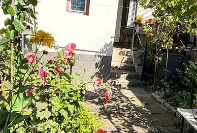 Proprietar - Vand casa schimb cu apartament 3 camere in Hunedoara plus diferenta - 3