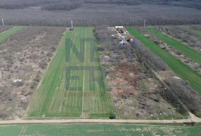 Teren de vanzare, Sabareni - 5