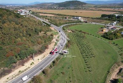 Teren Intravilan - Viisoara - 1