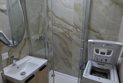 Garsonieră semidecomandată, mobilată în Ferdinand - 10