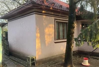Casă cu Teren 1500 Mp în Stolnici - 2