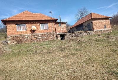 Teren de 4200 mp, în Bucea - 5