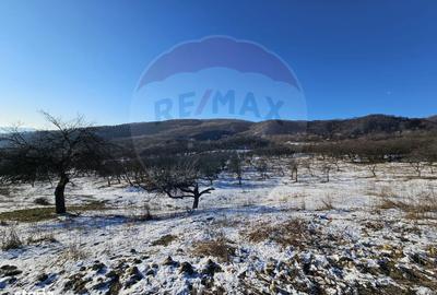 Teren de 5054 mp, în Dealul Malului - 6