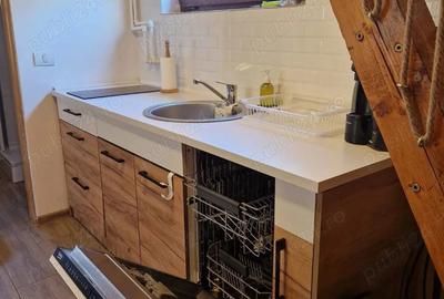 Vand Cabana cu ciubar (Fenes jud Alba) - 4