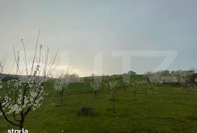Teren de 4447 mp, în Pielești - 6