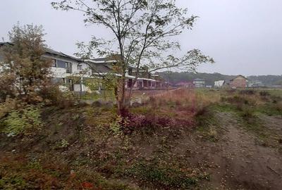 Teren de 5000 mp, în Corbeanca