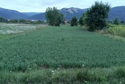 Spațiu comercial, în Dofteana - 3