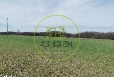 Spațiu comercial, în Saca - 7