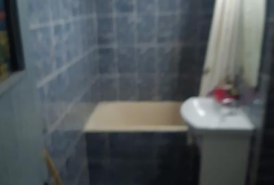 Intersectia Soseaua Antiaeriana cu Alexandria, inchiriez apartament - 6