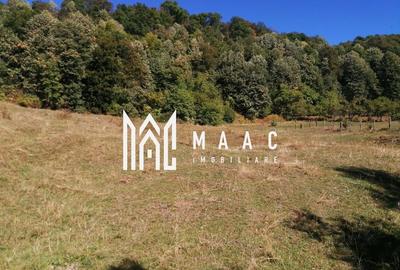 Teren Extravilan 20.000Mp I Stoenești -Vâlcea I Apă Curentă și Pădure - 11