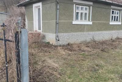 Casă cu 2 camere în Diviciorii Mari
