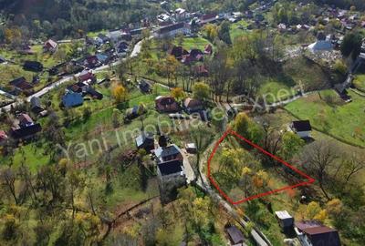 Teren de vanzare in comuna Arefu, jude? Arge?. - 18