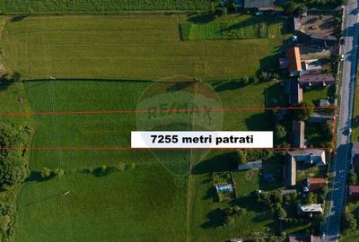 Teren intravilan 7.255?mp +casa rustica ideal pen... - 3