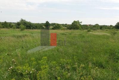 Teren Buftea cu iesire la lac - 15