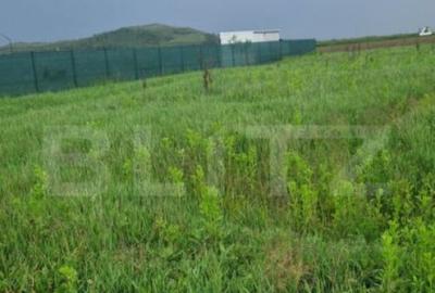 Teren pentru casa intravilan , 800 mp deschidere la drum Bod - 1