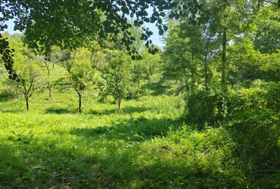 Teren de 1035 mp, în Central - 7