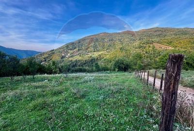 Teren 1812 mp de vanzare | Muntele Rece, cadru linistit, Comision 0% - 6