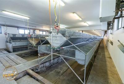 Spațiu comercial, de 794 mp, în Malnaș - 20