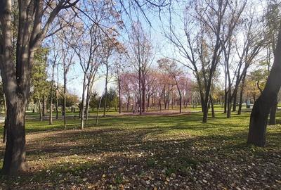 Apartament 4 Camere Constanța Tomis Nord - 23