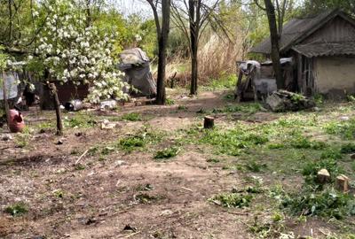 Casă cu 3 camere în Fulga - 5