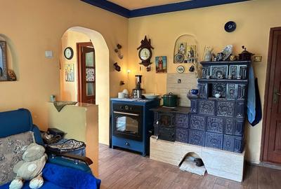 Proprietate cu potential turistic, in zona Negreni – Bucea, jud. Cluj - 4