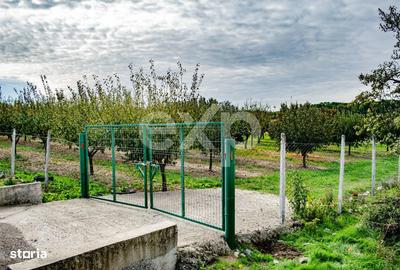 Teren de 1191 mp, în Racovița - 5