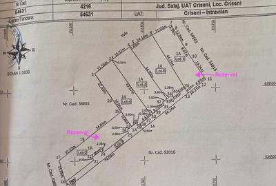 Teren de 42000 mp, în Crișeni - 3