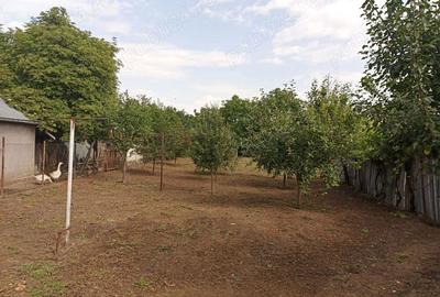 Casa fierbinti targ ialomita - 3