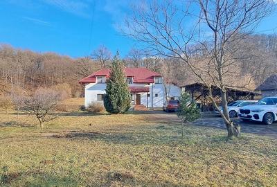 Propriete superbă la marginea pădurii în Râșnov Primăverii 5,000 mp - 23