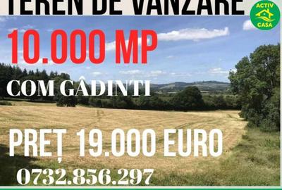 Teren de 10000 mp, în Roman