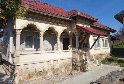 Casă cu Teren 3103 Mp în Central - 1