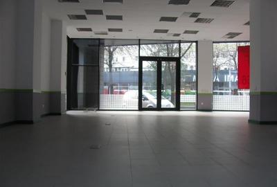 Vanzare cladire de birouri - stradala - Titulescu - 8