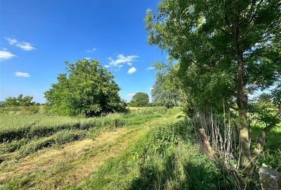 TEREN INTRAVILAN, 1200 mp, HARMAN, COMISION 0% TEREN INTRAVILAN, 1200 mp, HARMAN, COMISION 0% - 4