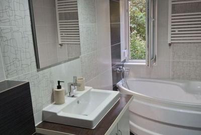 GARSONIERA CALEA MOSILOR, BOILER, BUCATARIE INCHISA, METROU 15 MINUTE - 5