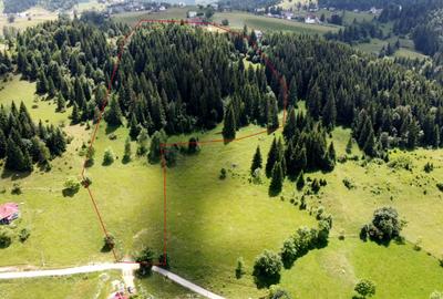 TEREN INTRAVILAN-EXTRAVILAN SPECTACULOS LANGA RESORTUL CHEILE GRADISTEI -FUNDATA - 14