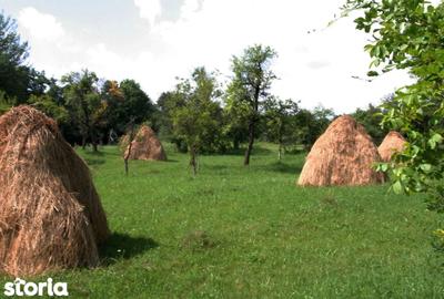 Teren de 5844 mp, în Valea Danului - 2