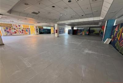 Ultracentral - Magazin Luceafarul - etajul 3 (integral) - 10