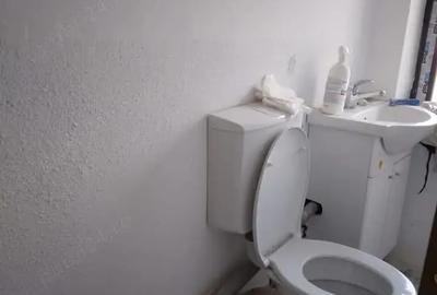 Inchiriez Cladire ( Spatiu Comercial si Casa de Locuit ) - 4