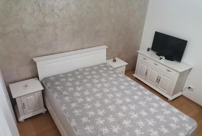 Apartament cu 3 camere decomandat în Ostroveni - 11