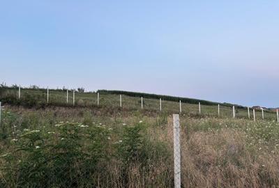 Vand Teren, Sura Mare, 451 mp - 2