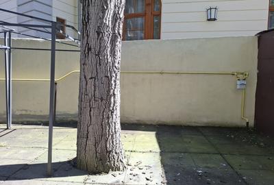 Birou, de 145 mp, în Moșilor - 4