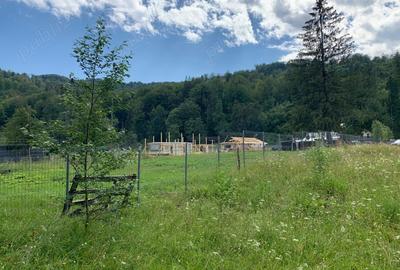 Teren de 1400 mp, în Măneciu - 2